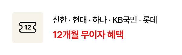 신한.현대.하나.KB국민.롯데 12개월 무이자 혜택